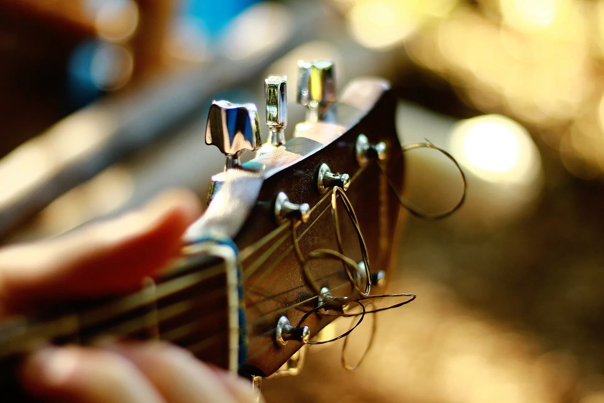 A hand turning a tuning machine on a headstock. Photo: Roberta Sorge, CC0